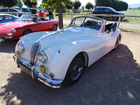 Jaguar XK140 (de 1954-57), decapotable blanche (prise a Amberieux, France, 2016) (5)